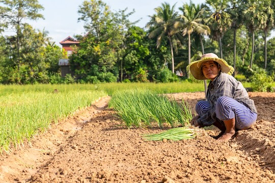 Smiling farmer kneels by their crops