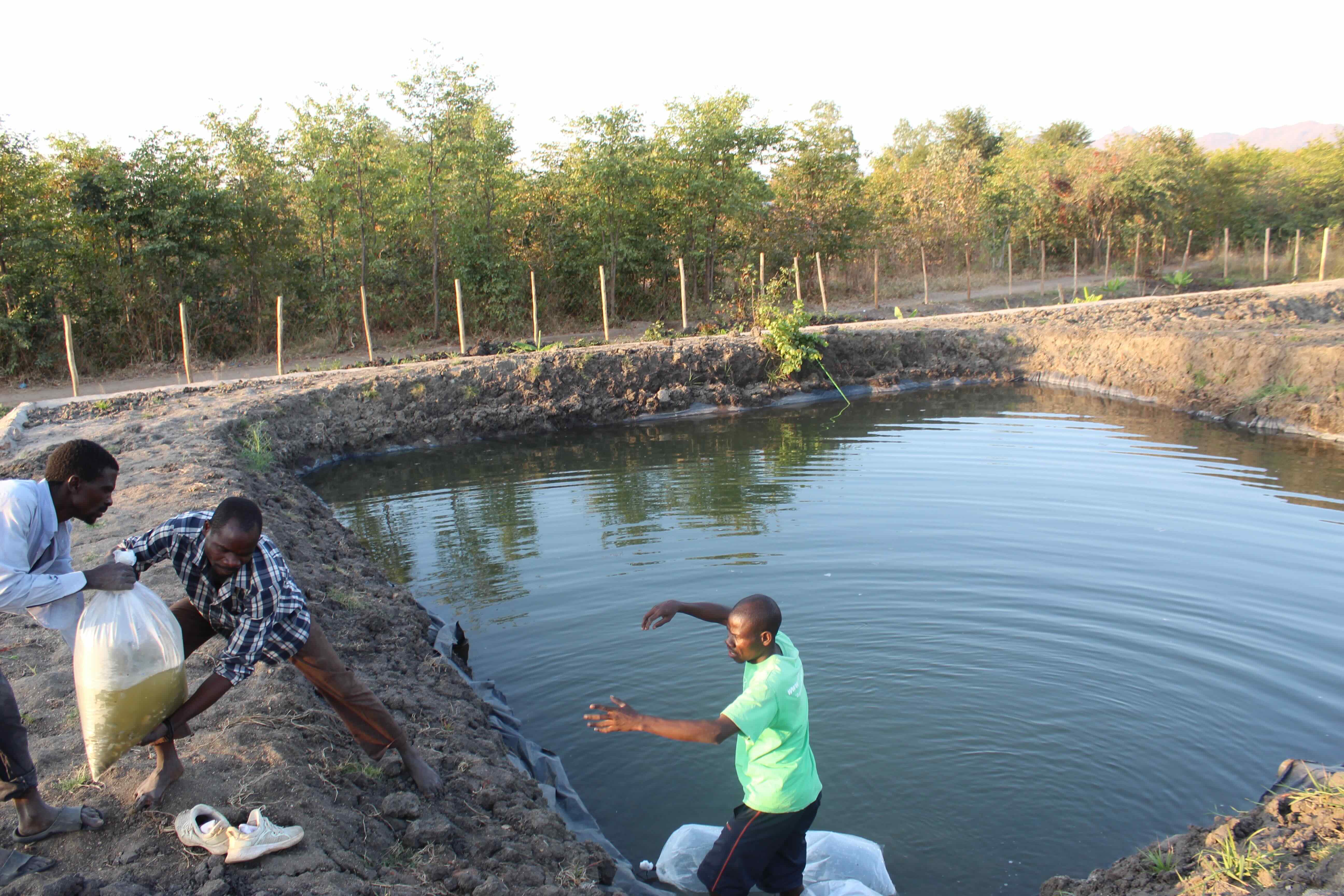 Malawi