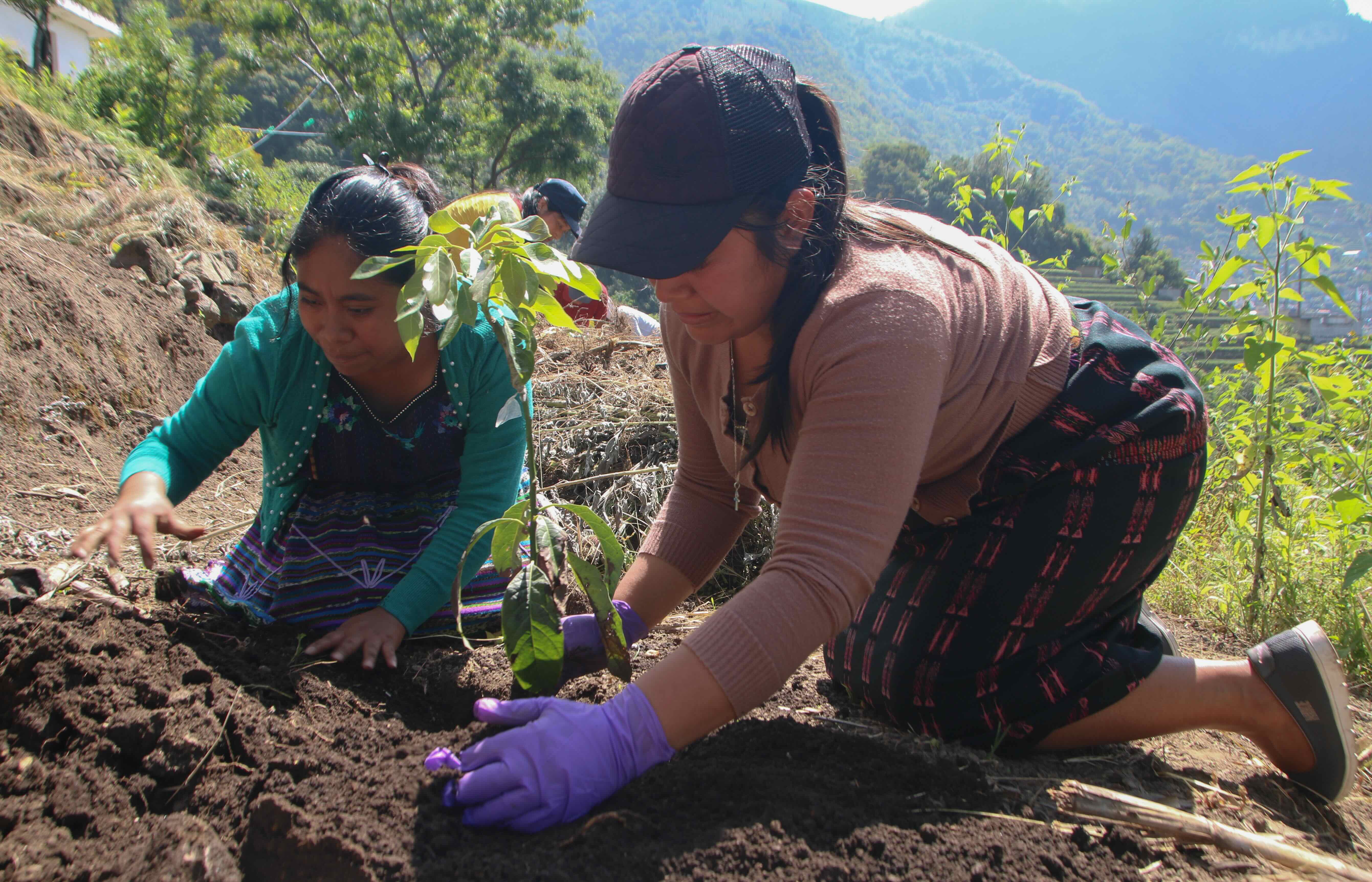 Guatemala