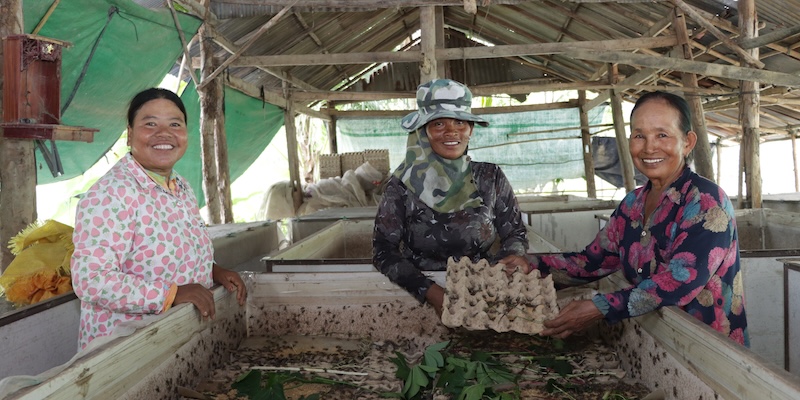 Women in Cambodia show their work with cricket farming.
