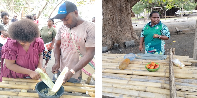 Community members in Vanuatu preparing food outdoors, showcasing local produce and traditional preparation methods.