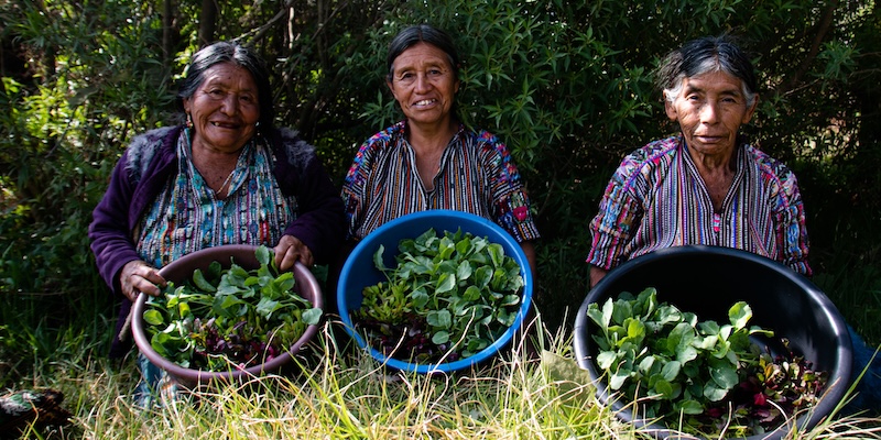 Three farmers show their harvested crops in a basket in Sololá, Late Atitlán, Guatemala