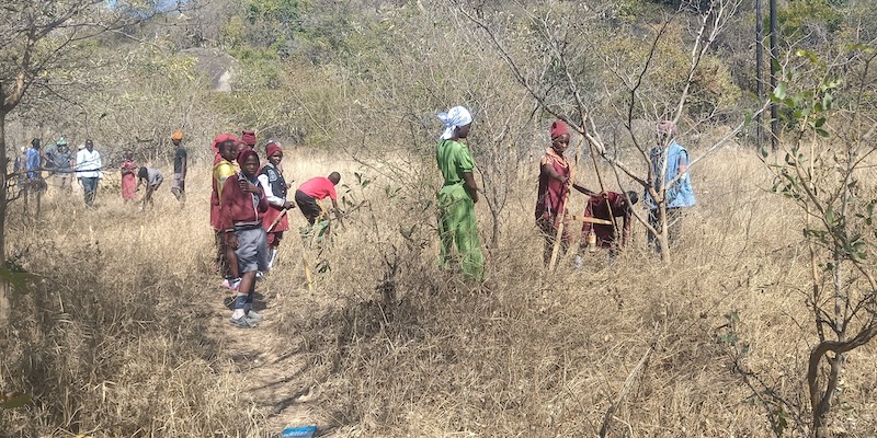 A group of people use the A-frame to take measure on the field in Zimbabwe.