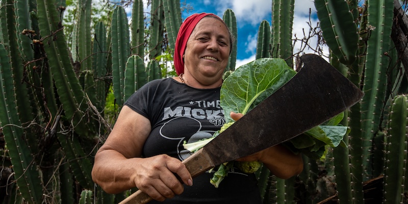 A woman holds vegetable and a machete in a land surrounded by cactus.