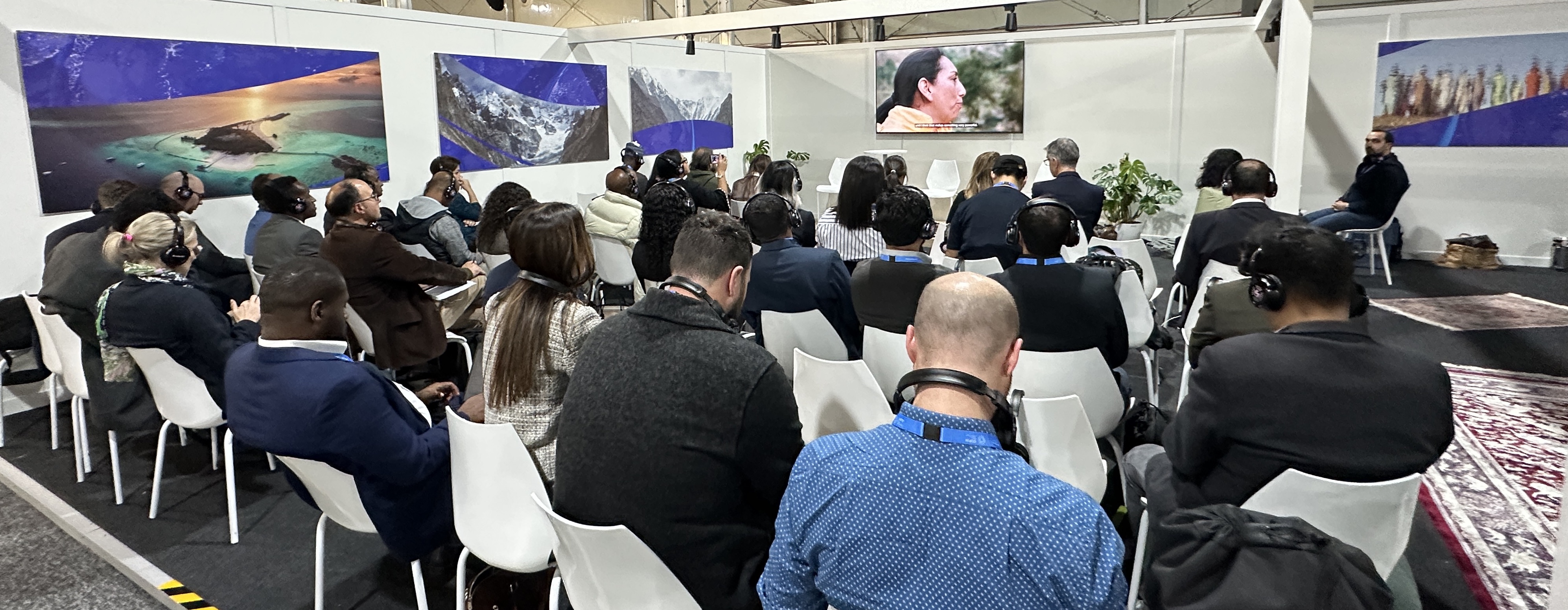 The SCALA side event in the UNDP Pavilion