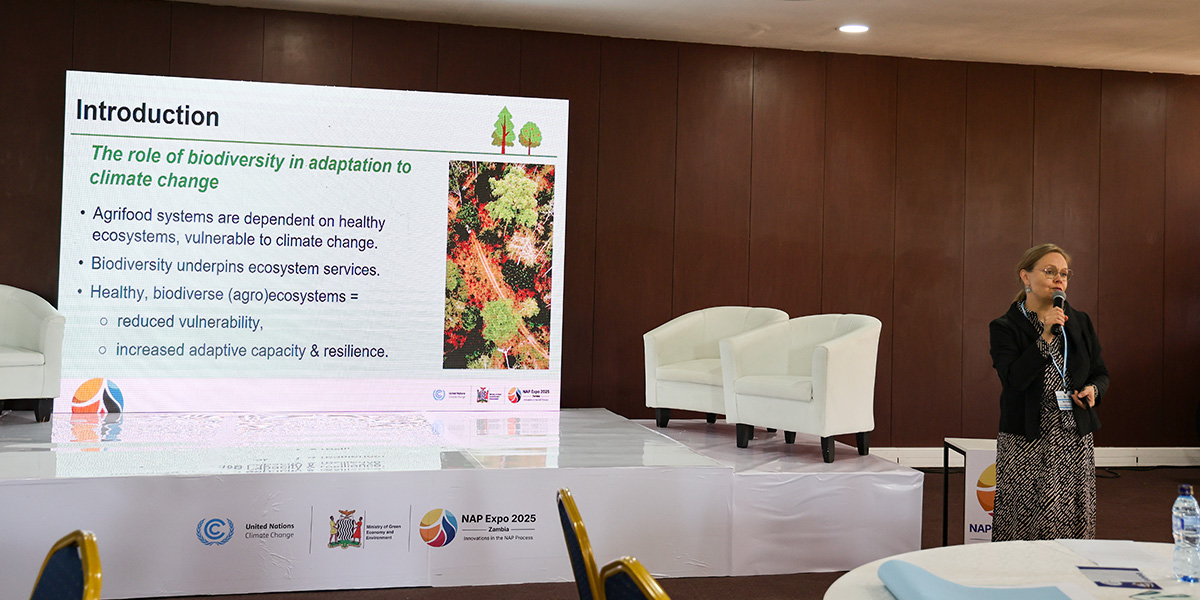 FAO Forestry Officer Maria Nuutinen moderating a session on nature-based solutions (NbS) for NAP implementation in agrifood systems.