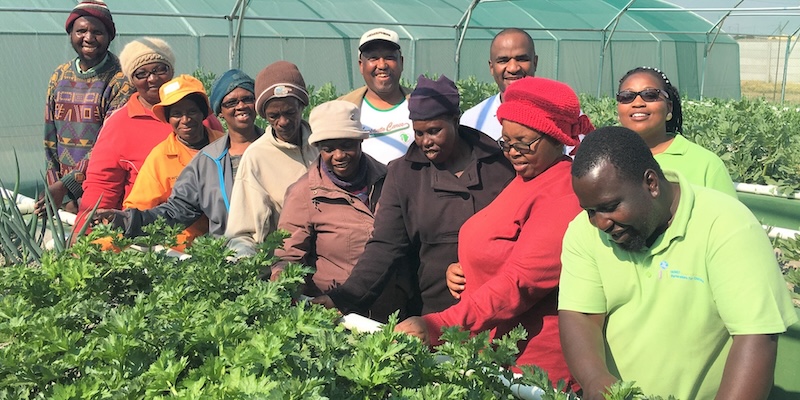 Educators and other community members stand by the vegetables grown with the aquaponics system.