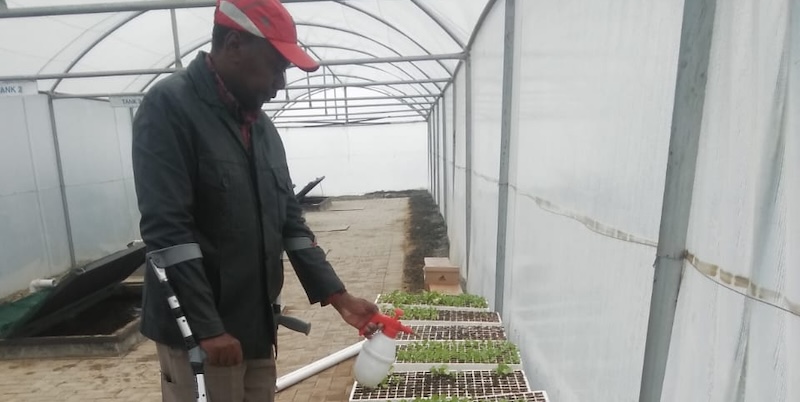 man waters plants inside a greenhouse.