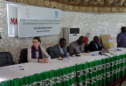 The Republic of Guinea Initiates its National Adaptation Plan Process ...