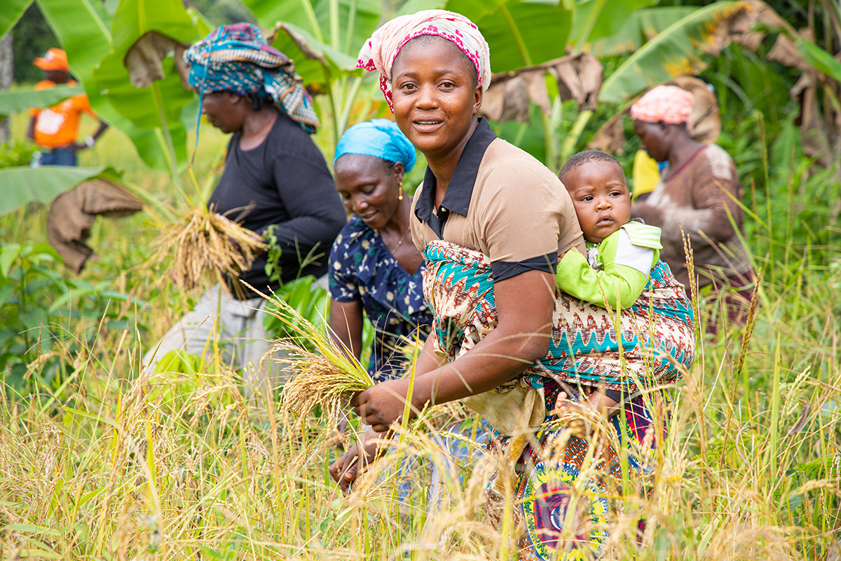 Guinea Launches Project Aimed At Strengthening The Climate Resilience ...