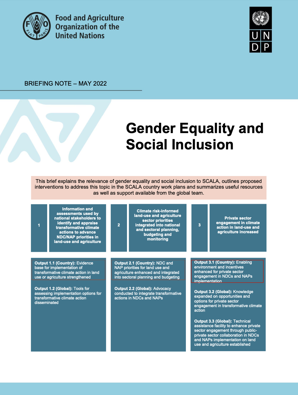 Briefing note: Gender and social inclusion | UNDP Climate Change Adaptation