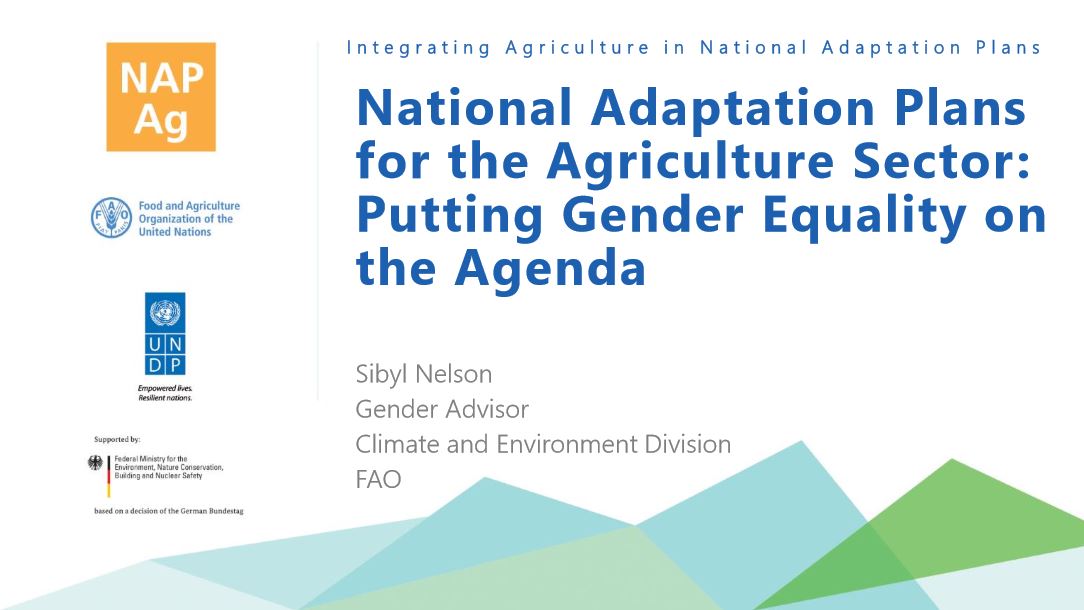 Powerpoint presentation, 'National Adaptation Plans for the Agriculture ...