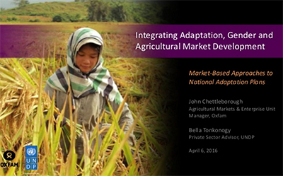 Integrating adaptation, gender and agricultural market development ...