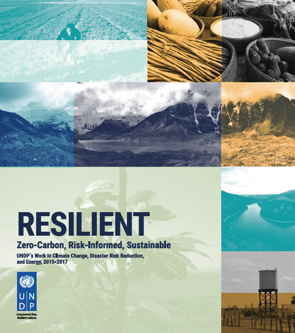 RESILIENT: Zero Carbon, Risk-Informed, Sustainable | UNDP Climate ...