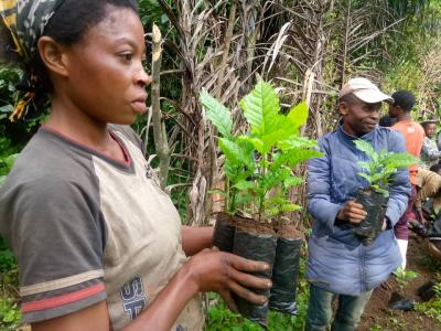 Participants in the reforestation activity in South-Kivu, PIFEVA