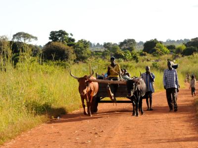 Zambia