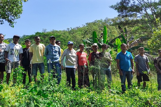 Community members in Aileu gather at the reforested site