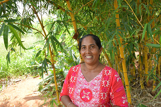 A smiling woman in a vibrant pink dress stands in front of a cluster of lush green bamboo trees in a rural setting.