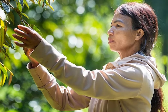 A woman examines tree leaves in a sunlit orchard